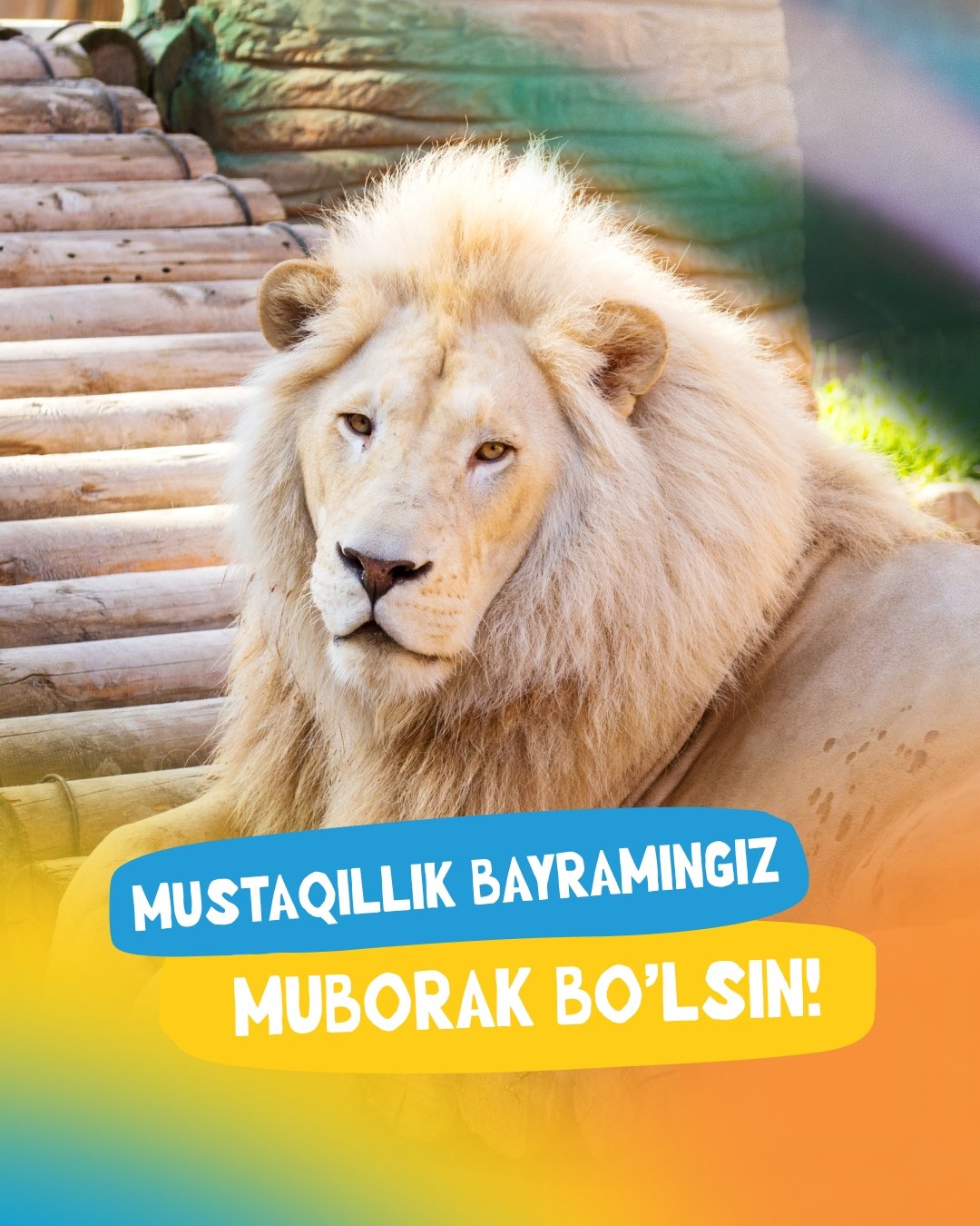 Mustaqillik bayrami muborak bo‘lsin, O‘zbekiston!